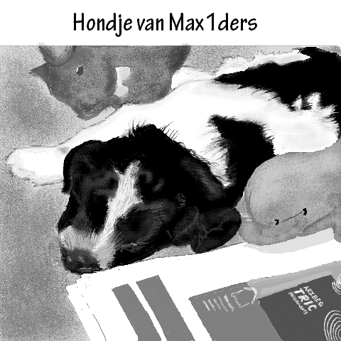 Hond vn Max1ders